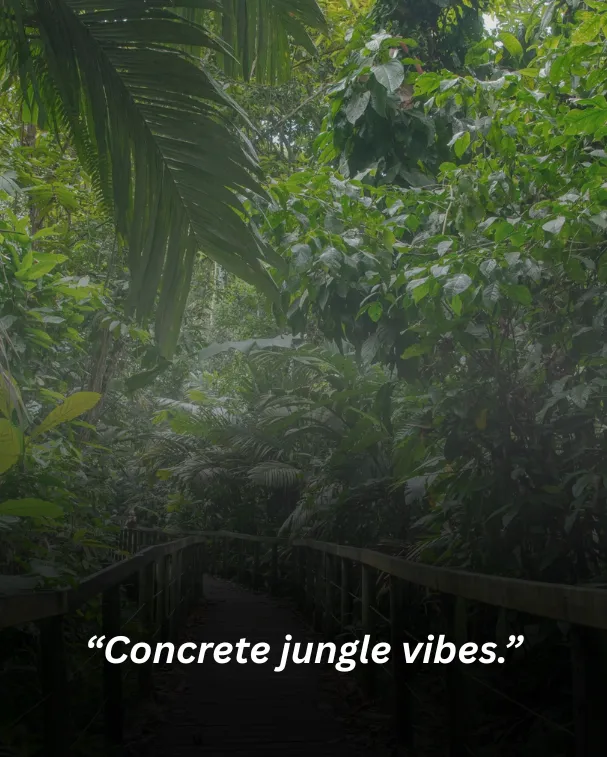 Concrete jungle vibes.