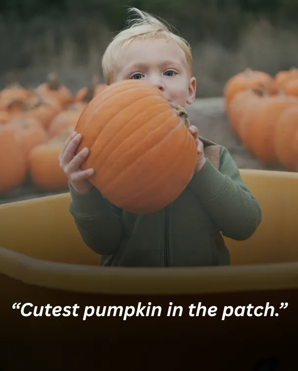 Cutest pumpkin in the patch.