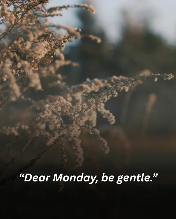 “dear monday, be gentle.”