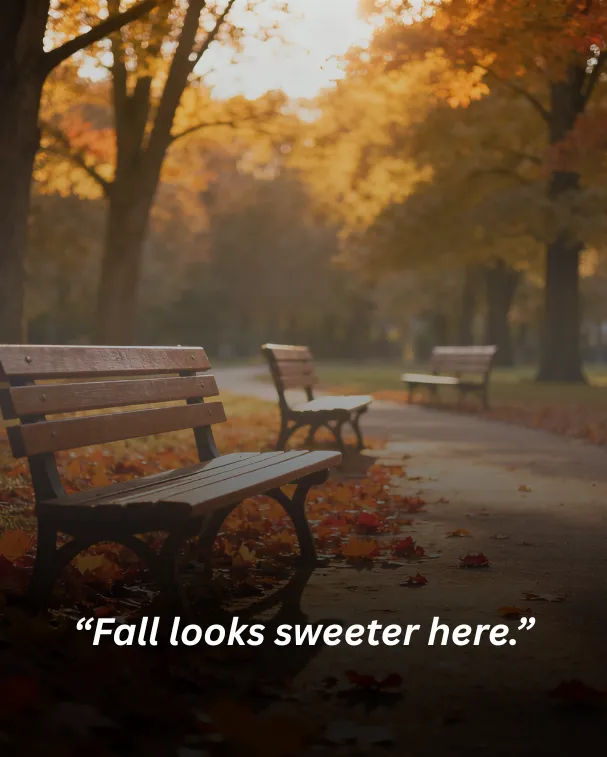 Fall looks sweeter here.