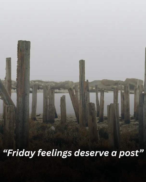 “friday feelings deserve a post”