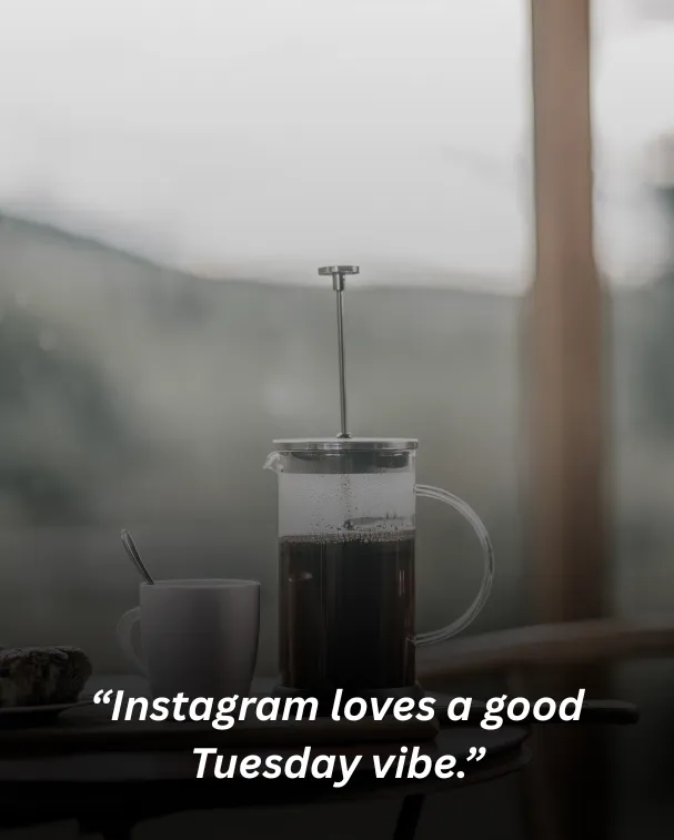 “instagram loves a good tuesday vibe.”