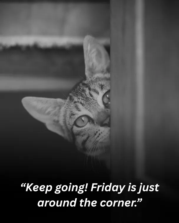 “keep going! friday is just around the corner.”