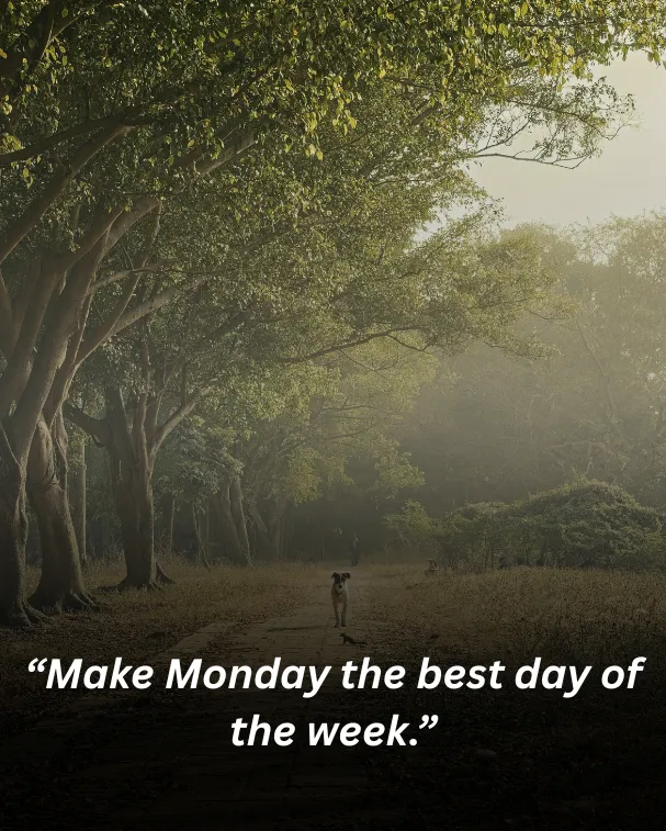 “make monday the best day of the week.”