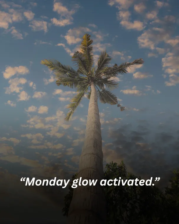 “monday glow activated.”