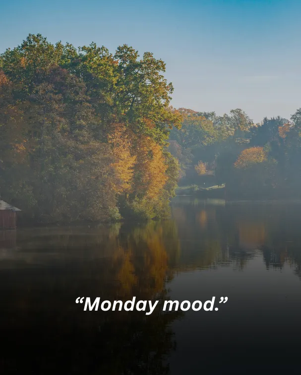 “monday mood.”