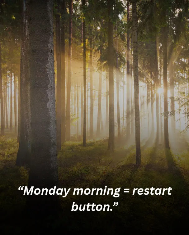 “monday morning = restart button.”
