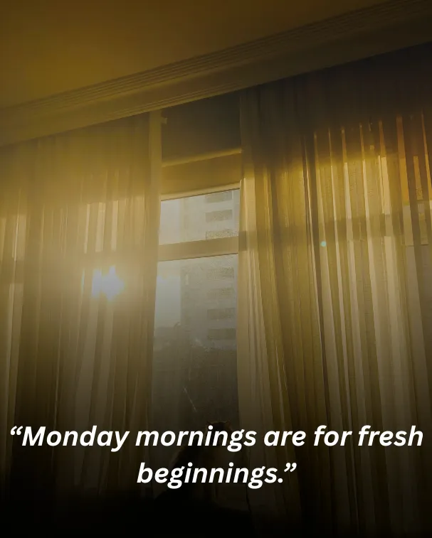 “monday mornings are for fresh beginnings.”