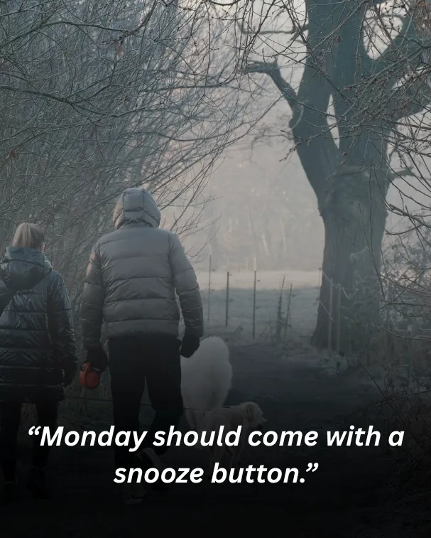 “monday should come with a snooze button.”