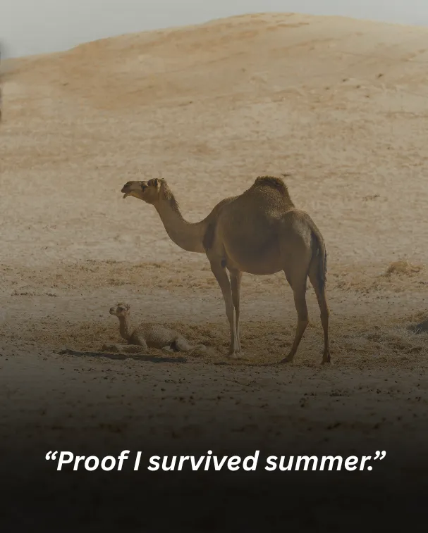 Proof I survived summer.