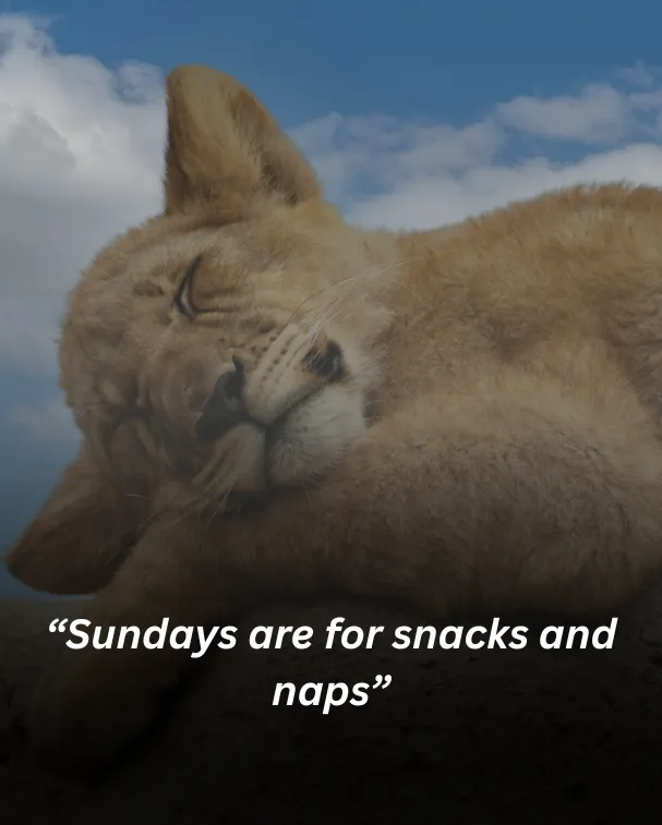 “sundays are for snacks and naps”