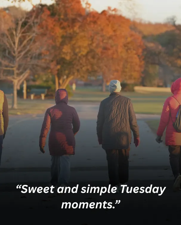 “sweet and simple tuesday moments.”