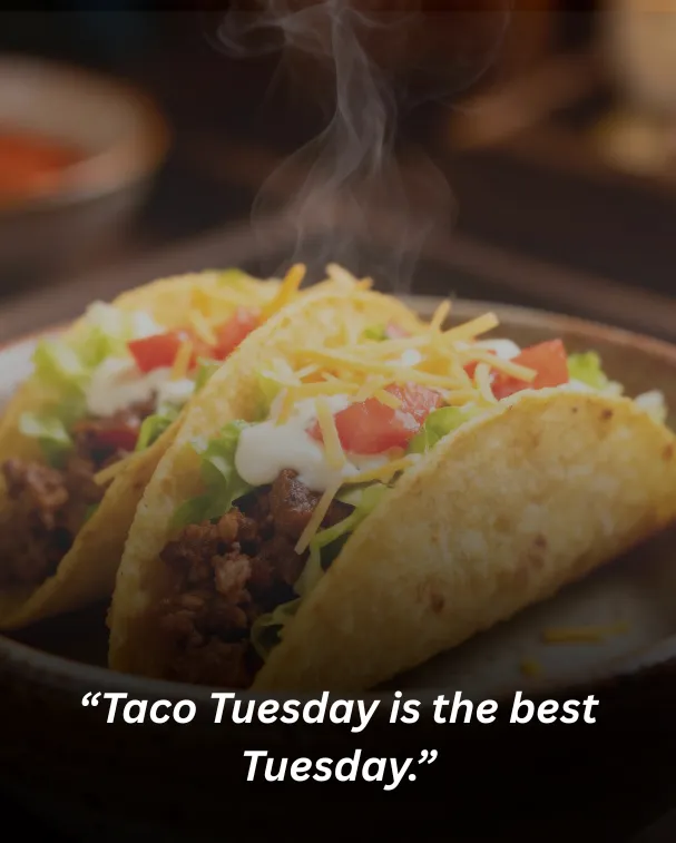 “taco tuesday is the best tuesday.”