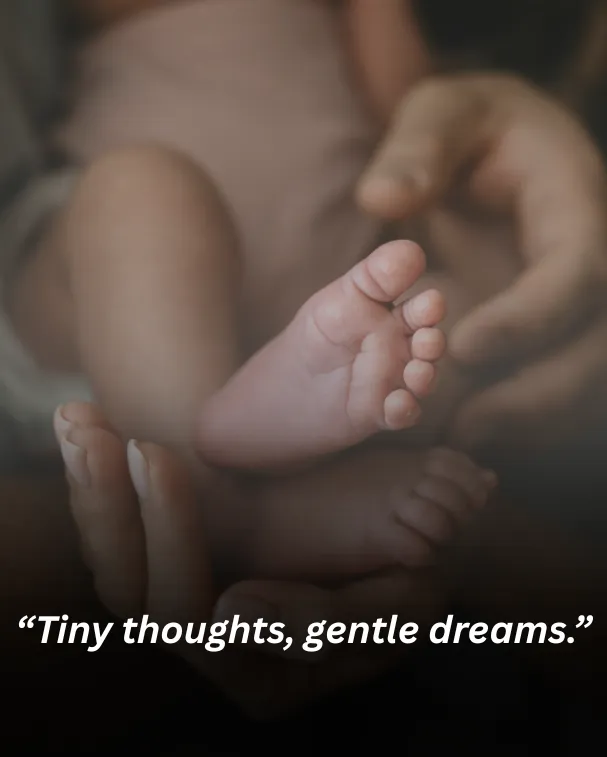 Tiny thoughts, gentle dreams.