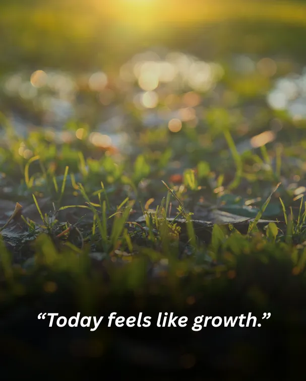 “today feels like growth.”