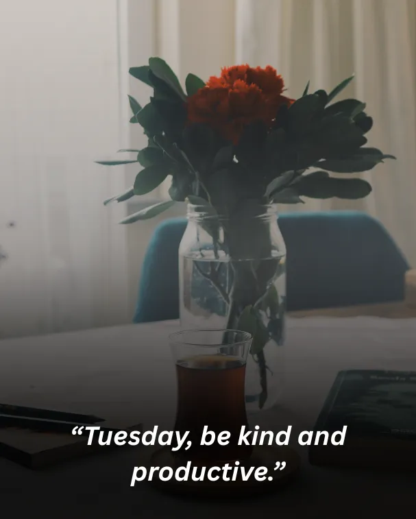 “tuesday, be kind and productive.”