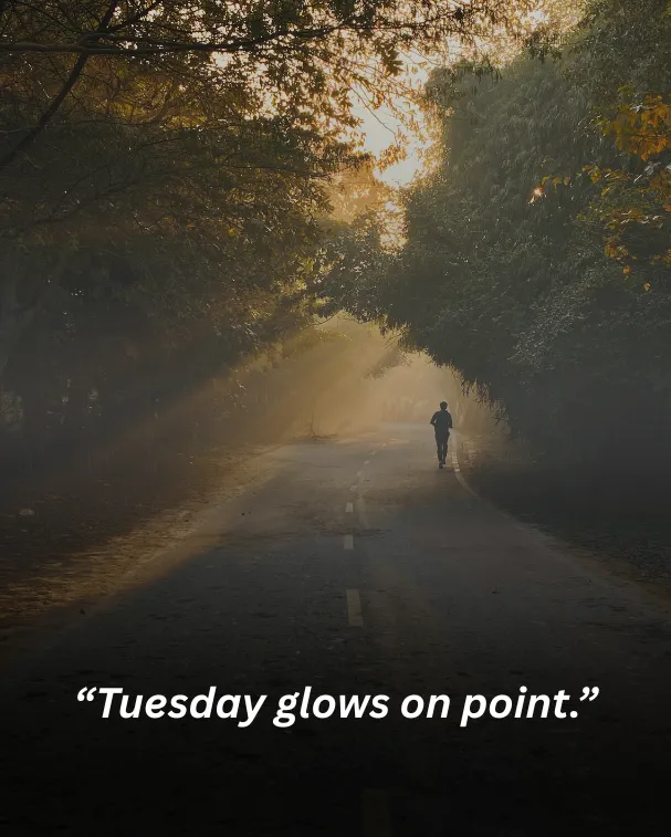 “tuesday glows on point.”