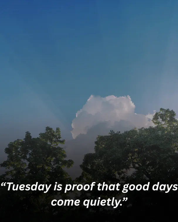 “tuesday is proof that good days come quietly.”
