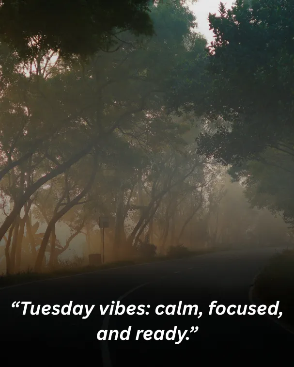 “tuesday vibes calm, focused, and ready.”