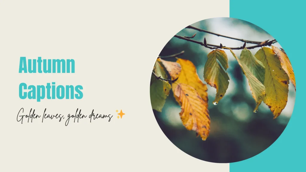 Autumn Captions