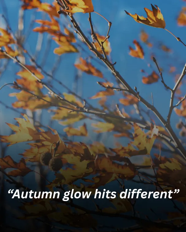 Autumn glow hits different