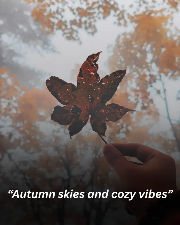 Autumn skies and cozy vibes