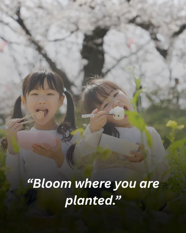 Bloom where you are planted.