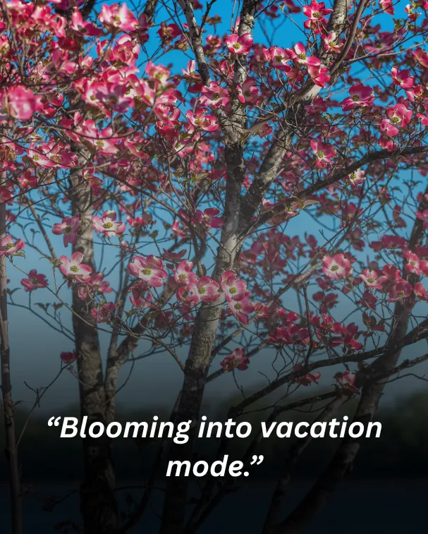 Blooming into vacation mode.