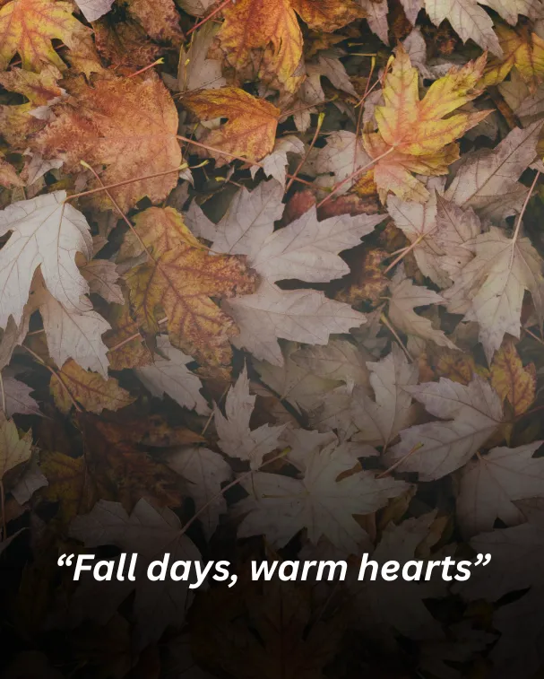 Fall days, warm hearts