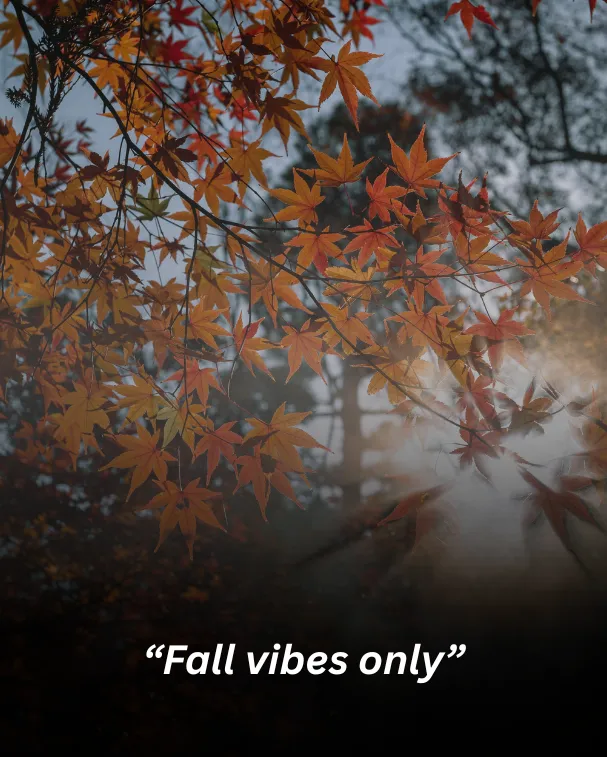Fall vibes only