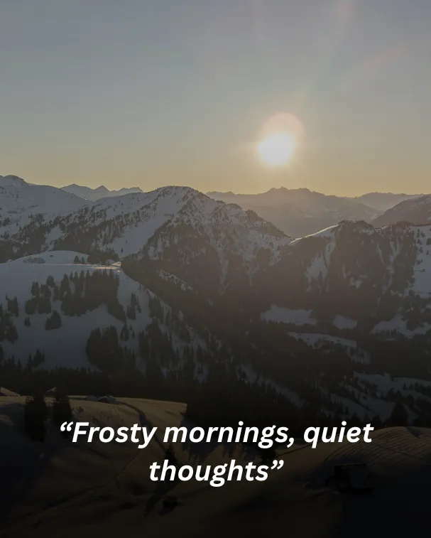 Frosty mornings, quiet thoughts