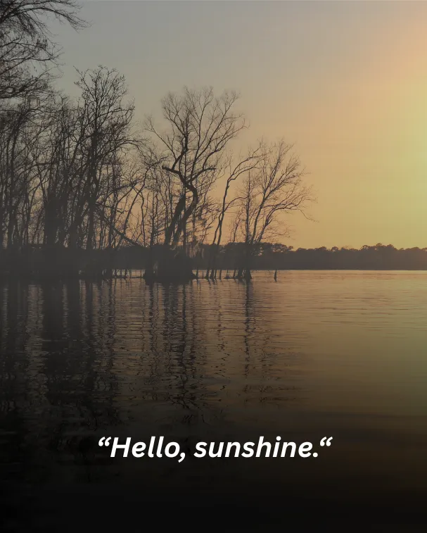 Hello, sunshine.