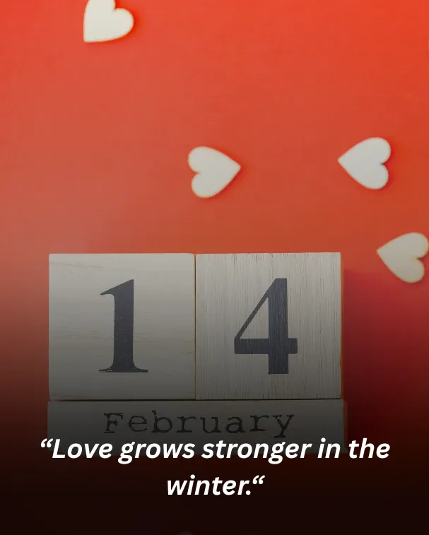 Love grows stronger in the winter.
