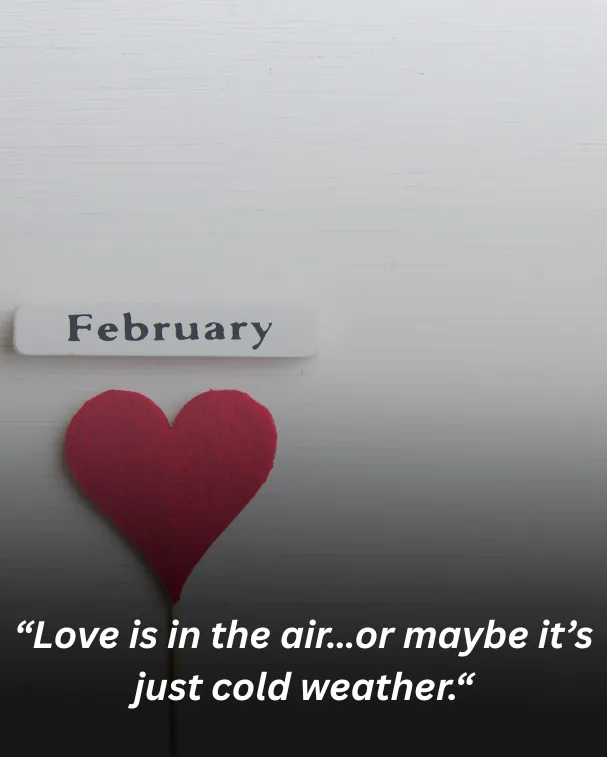 Love is in the air… or maybe it’s just cold weather.