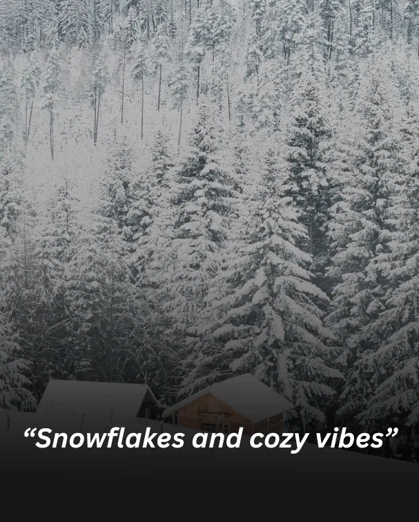 Snowflakes and cozy vibes