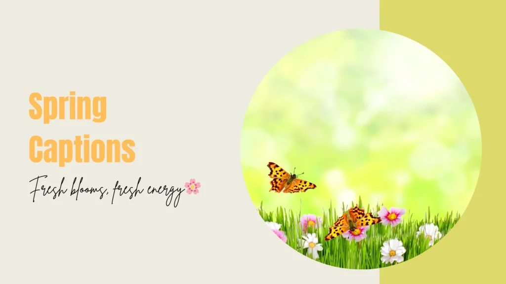 Spring Captions