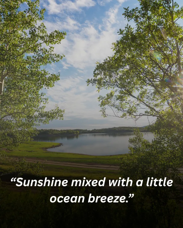 Sunshine mixed with a little ocean breeze.