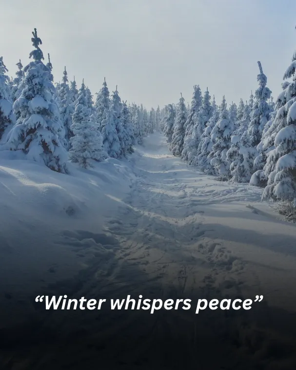 Winter whispers peace