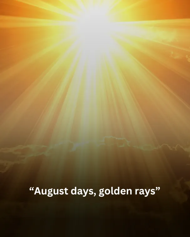 August days, golden rays