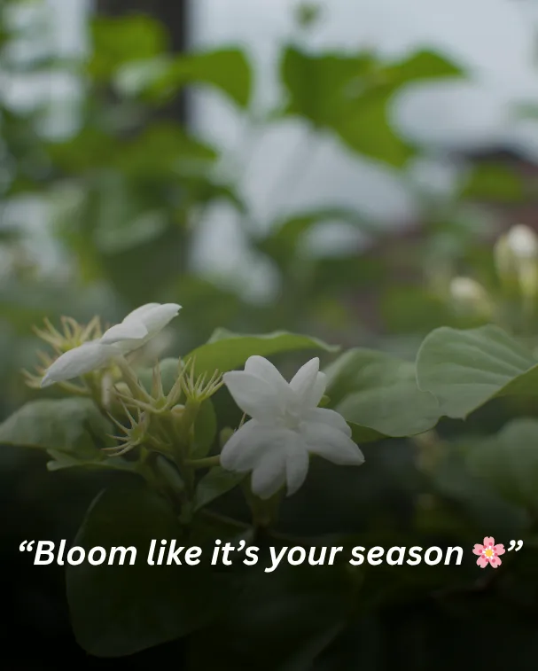 Bloom like it’s your season 🌸