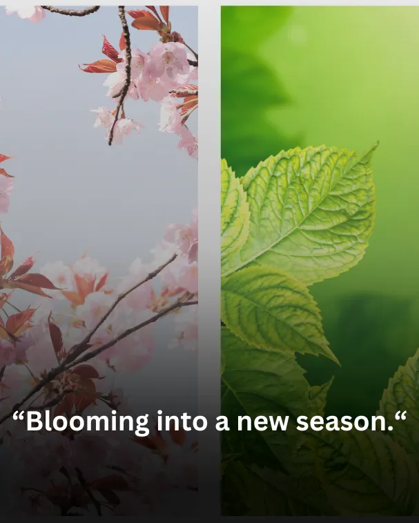 Blooming into a new season.