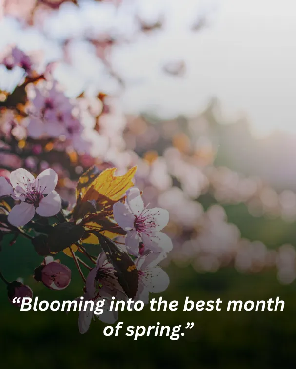 Blooming into the best month of spring.