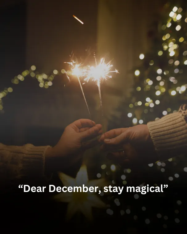 Dear December, stay magical