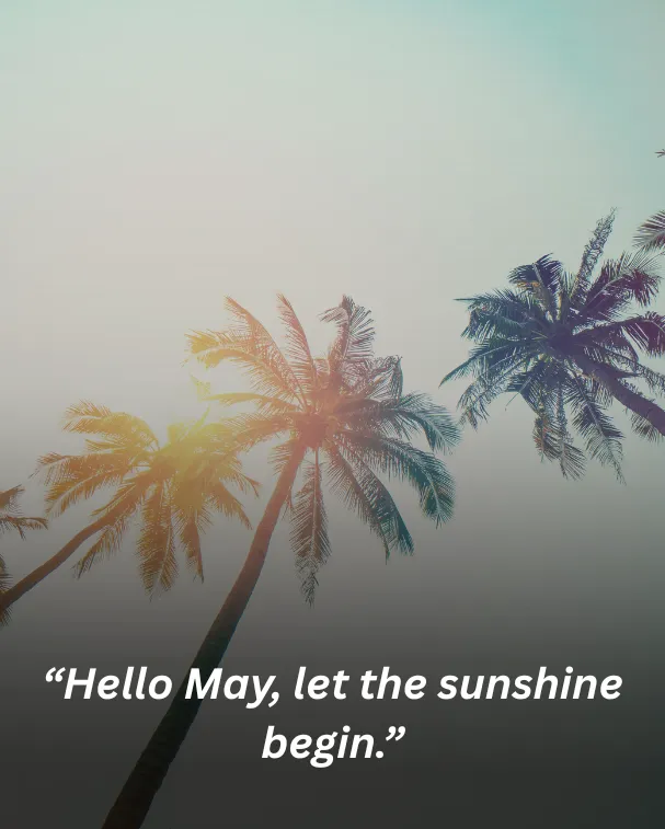 Hello May, let the sunshine begin.