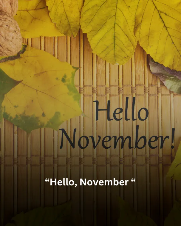 Hello, November 