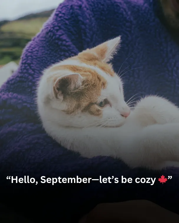 Hello, September—let’s be cozy 🍁