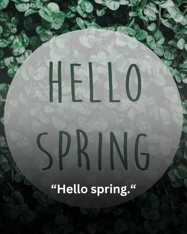 Hello spring.