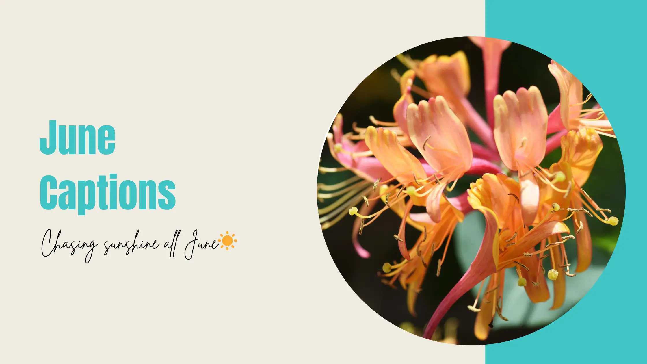 June Captions
