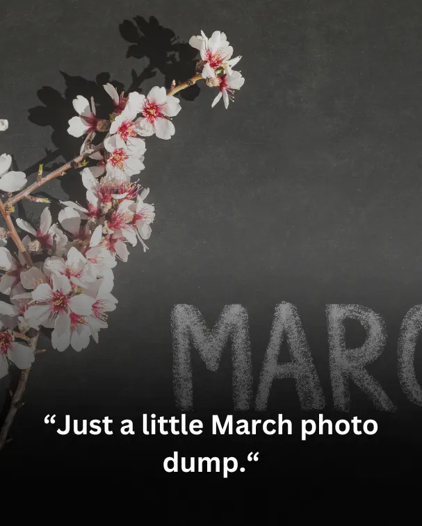 Just a little March photo dump.