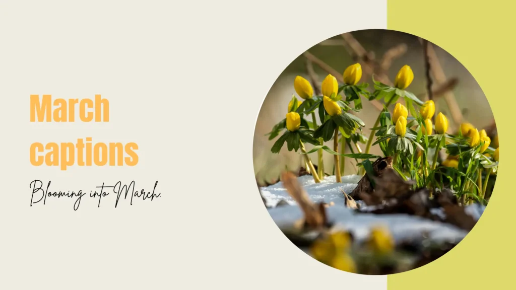 March captions